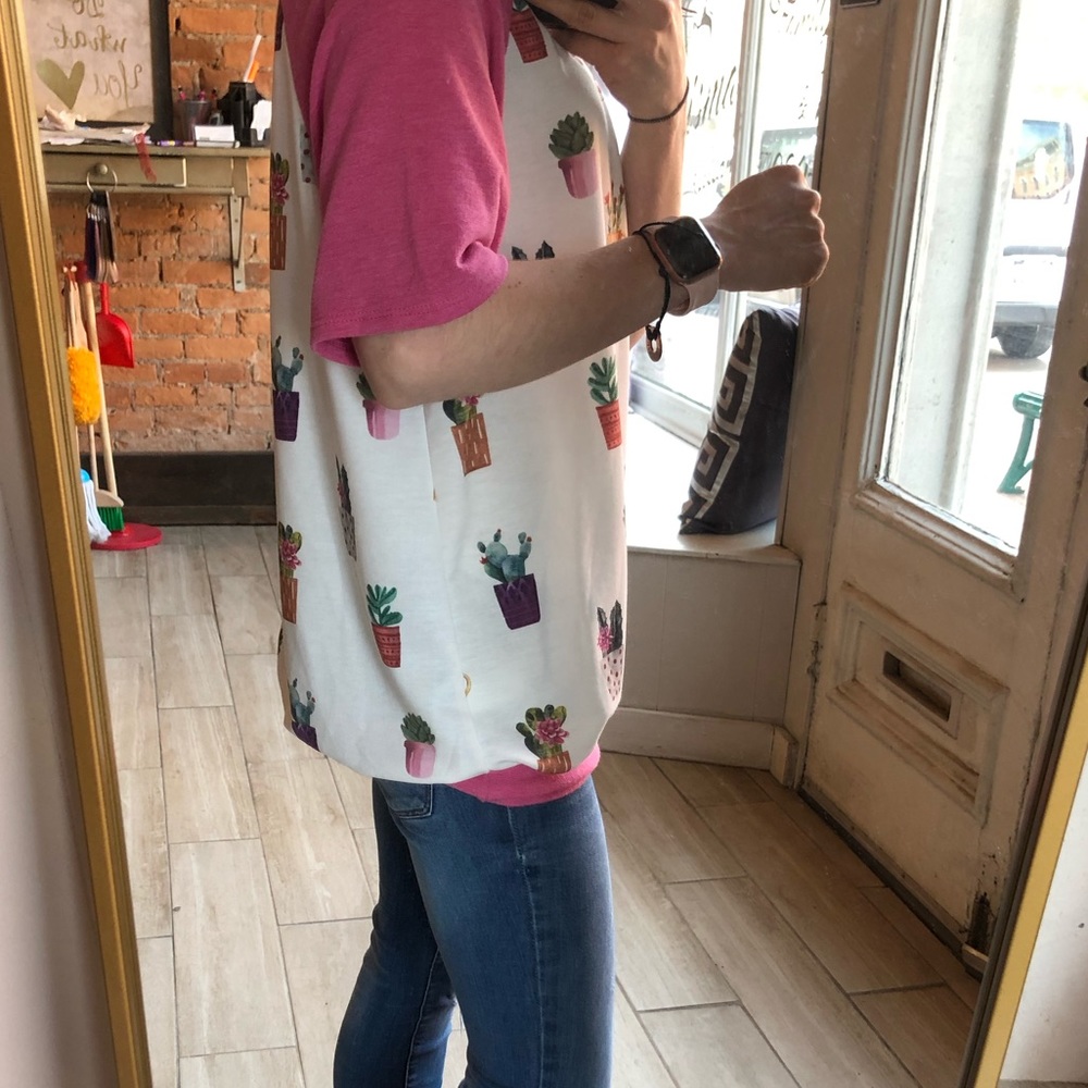 Plant succulent top - Picture 3 of 3